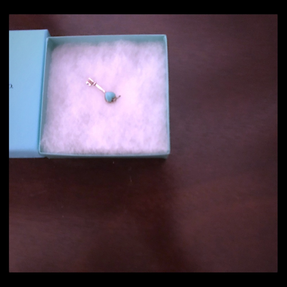 Authentic Tiffany & Co. Blue Enamel Heart Key.